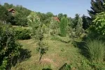Slika 3