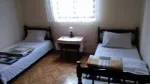 Slika 1