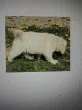 Slika 3