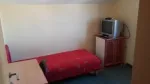Slika 1