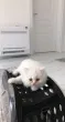 Slika 2
