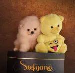 Slika 2