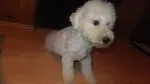 Slika 1