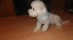 Slika 5