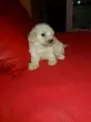 Slika 3