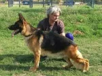Slika 6