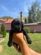 Slika 2