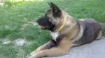 Slika 3