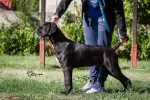 Slika 3