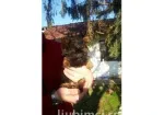Slika 4