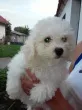 Slika 2