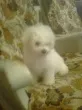 Slika 3