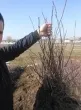Slika 1