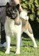 Slika 3