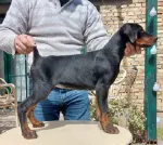 Slika 3