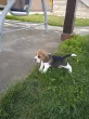 Slika 6