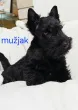 Slika 2