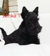Slika 3