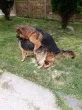 Slika 3