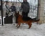 Slika 4