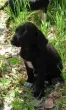 Slika 2