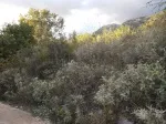 Slika 3