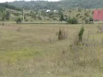 Slika 1