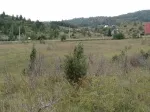 Slika 6