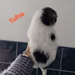 Slika 6