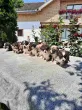 Slika 3
