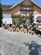 Slika 5