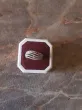 Slika 1