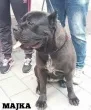 Slika 2