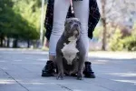 Slika 2
