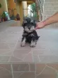 Slika 4