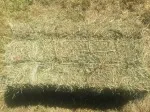 Slika 1