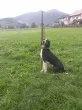 Slika 2