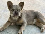 Slika 2