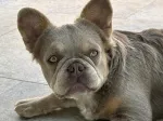 Slika 5