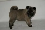 Slika 6