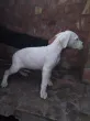 Slika 2