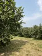 Slika 3