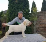 Slika 1