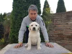 Slika 2