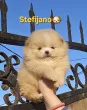 Slika 4