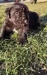 Slika 2