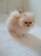 Slika 2