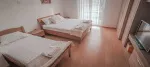 Slika 1