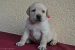 Slika 3