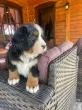 Slika 2